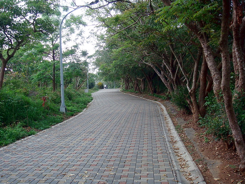 绿色步道 摄影：余燕鳳