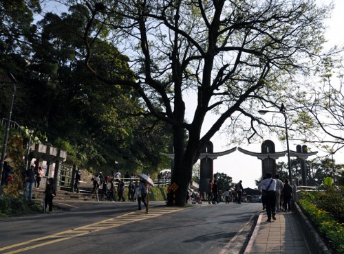 Yangmingshan National Park