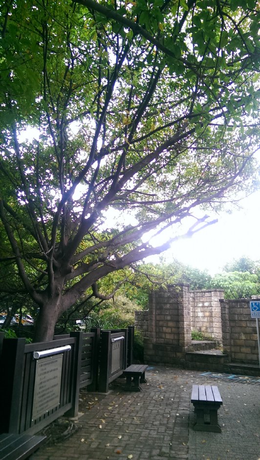 硫磺谷泡脚池 摄影：Eva隨手拍