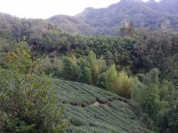 石壁风景区<br/> 摄影：Eva隨手拍
