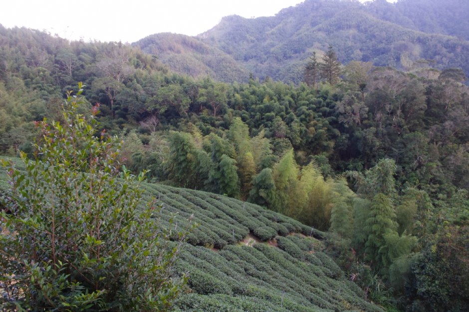 石壁风景区 摄影：Eva隨手拍