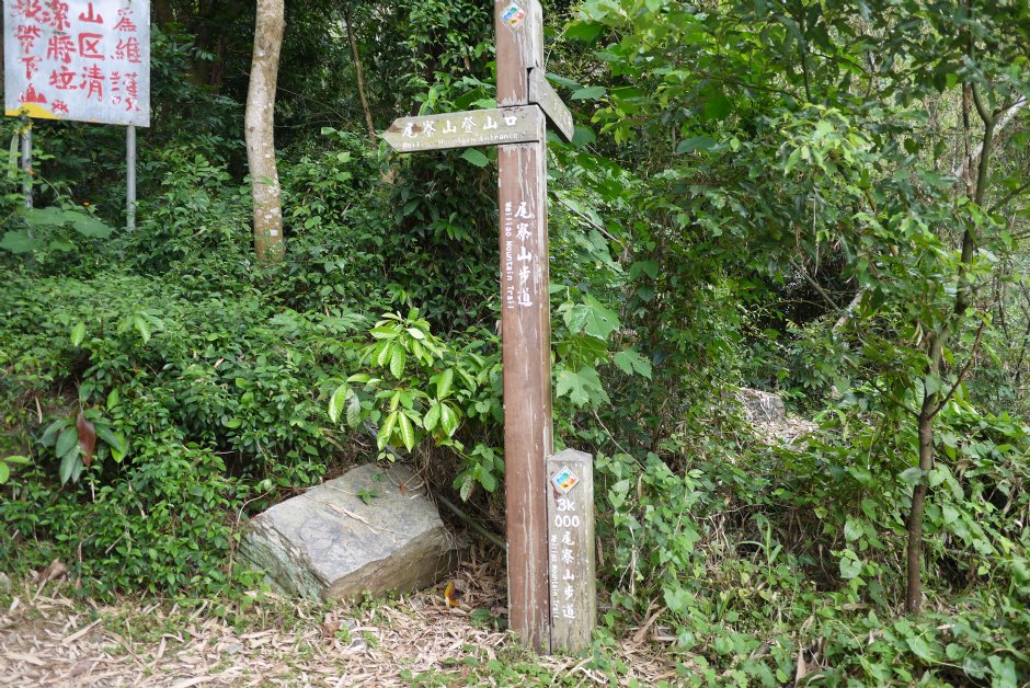 尾寮山步道 摄影：旅遊王攝影組
