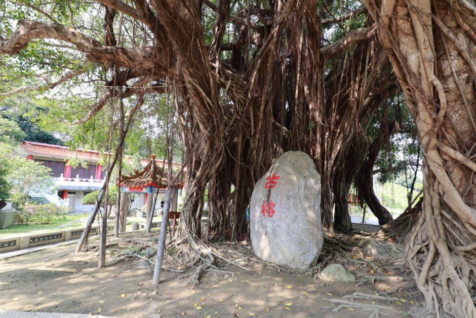 虎山岩游憩区 摄影：圖片來源_參山處