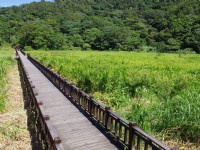 东源湿地(东源水上草原)