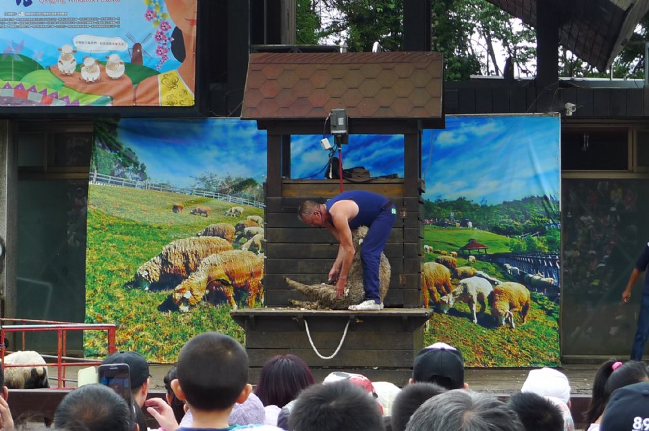 Photo:Eva隨手拍
