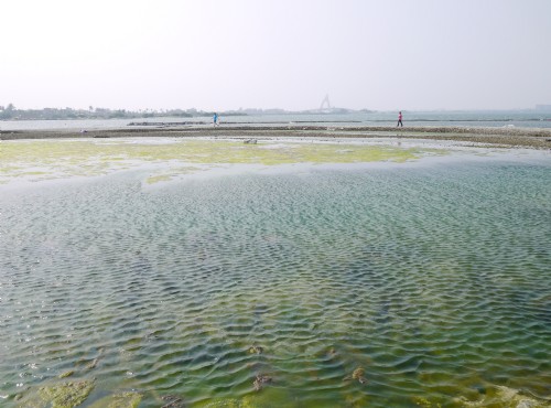 大鵬灣國家風景區-大鵬灣蚵殼島