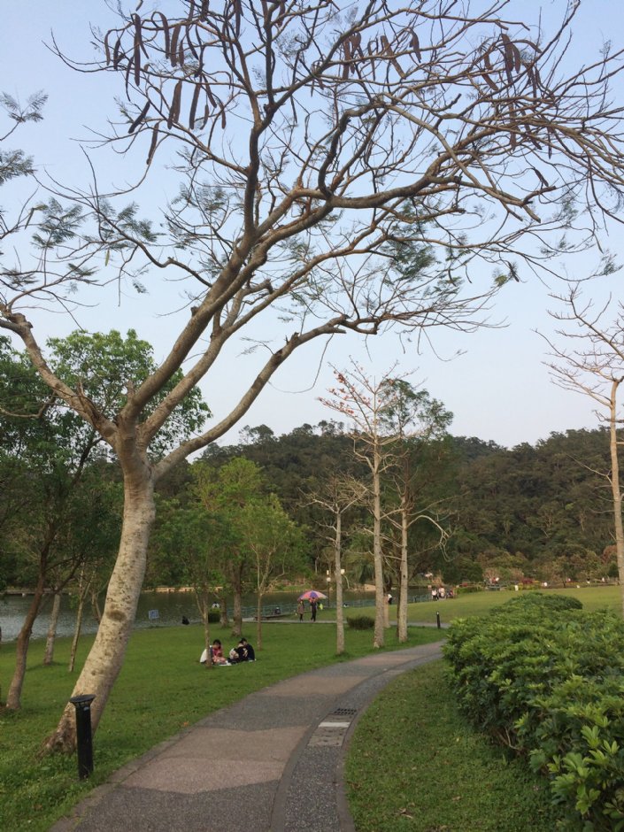 Photo:Eva隨手拍