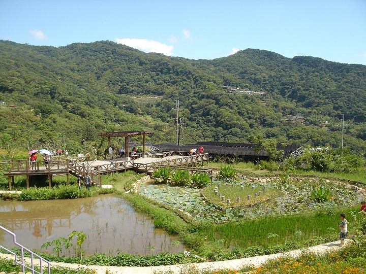 後湖濕地-同心池 攝影：陳美吟