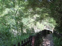 蝙蝠洞延伸步道<br/> 摄影：照片來源 | 臺中觀光旅遊網