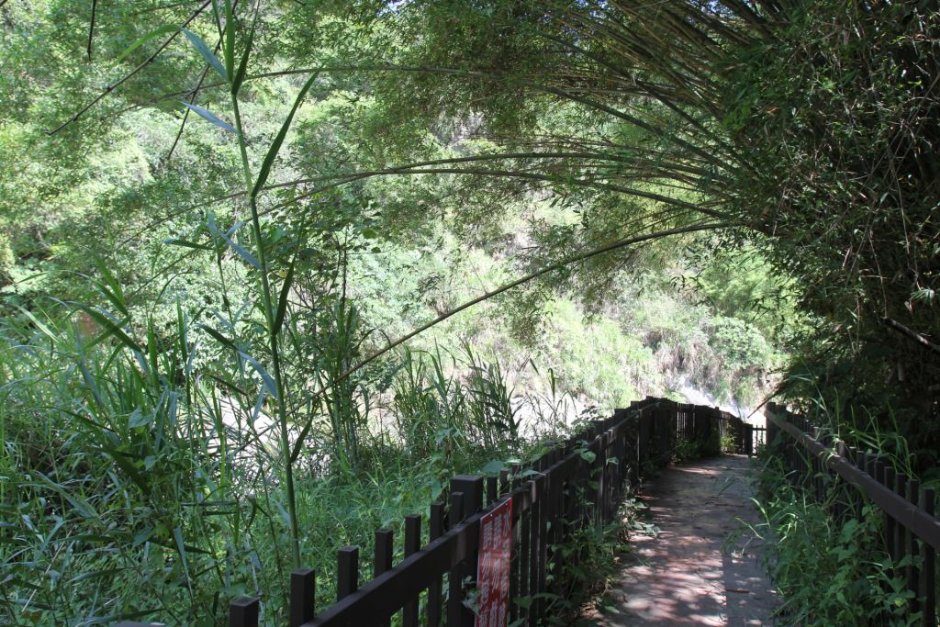 蝙蝠洞延伸步道 摄影：照片來源 | 臺中觀光旅遊網