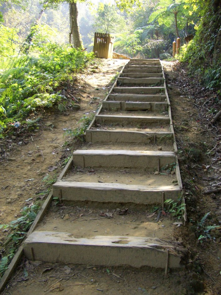 阶梯步道 摄影：鄭瑄頤