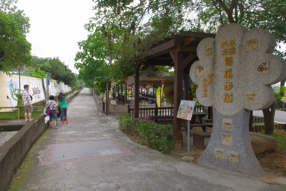永丰六分桐花步道 摄影：Eva隨手拍