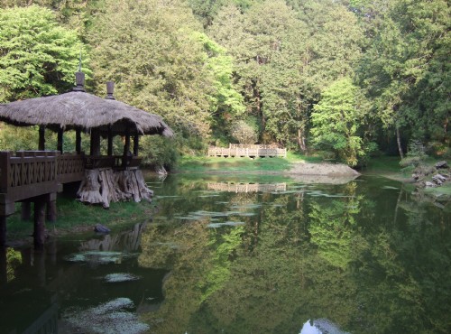 Indulge in a world of relaxations in Alishan