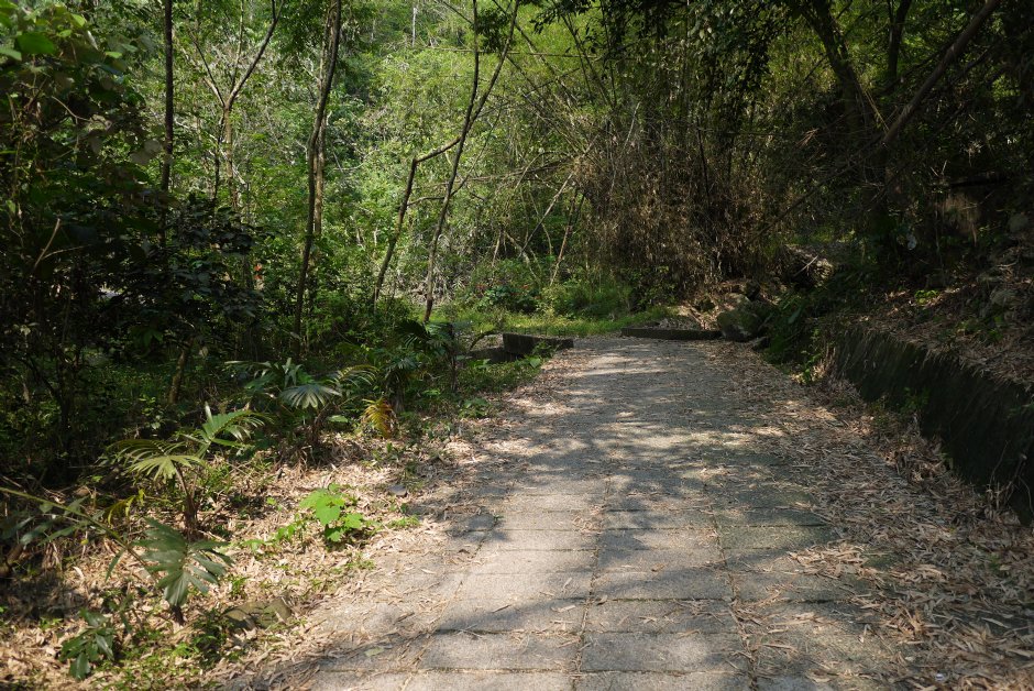 尾寮山步道前段大津瀑布步道 摄影：旅遊王攝影組