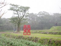 大屯庄园<br/> 摄影：Eva隨手拍