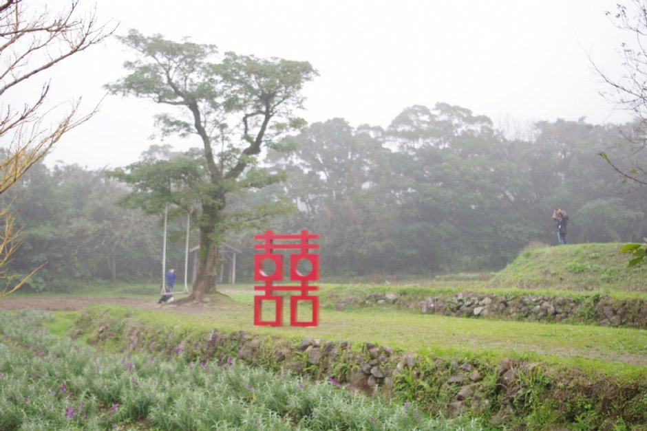 大屯庄园 摄影：Eva隨手拍