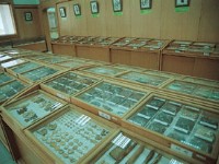 草药展示<br/> 摄影：雲林縣政府