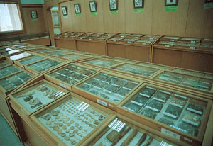 草药展示 摄影：雲林縣政府