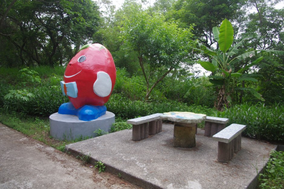 永丰六分桐花步道 摄影：Eva隨手拍