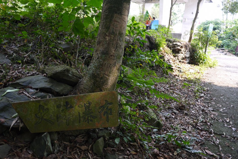 尾寮山步道前段大津瀑布步道 摄影：旅遊王攝影組