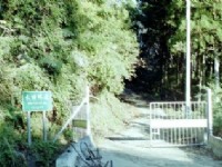 水田林道<br/> 摄影：呂玫瑢