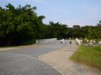 高雄都会公园<br/> 摄影：三個井