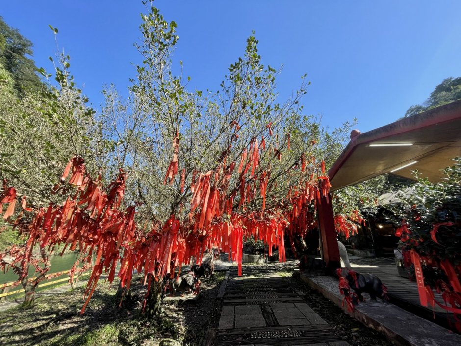 十分风景特定区 摄影：Eva隨手拍