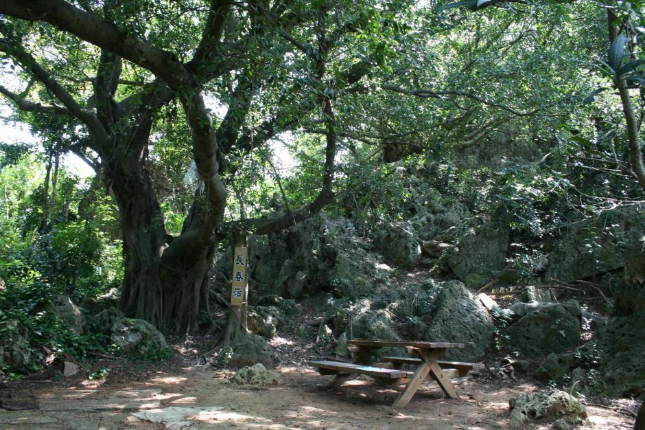 Photo:老山羊部落格