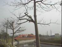 北斗河濱公園