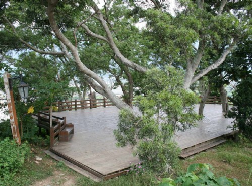美崙山生態公園-原木平台