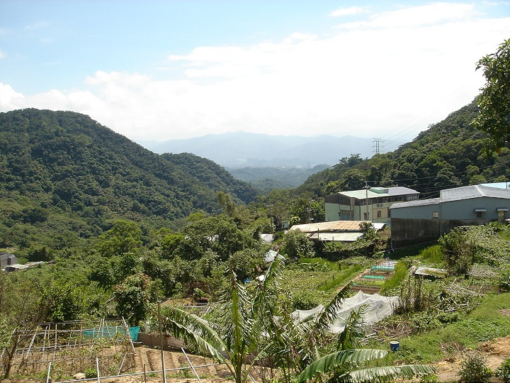 白石湖地區 攝影：陳美吟