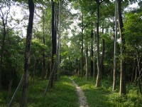 Photo:三井