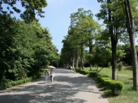 Photo:老山羊部落格