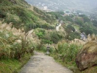 黃金神社登山步道<br/> 攝影：Eva隨手拍