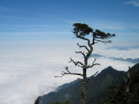 Photo:自助旅行家族