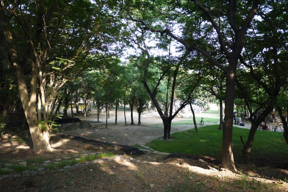 Photo:三井