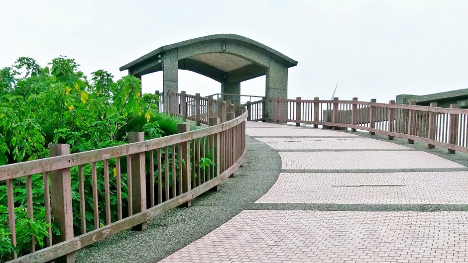 香山湿地 摄影：Eva隨手拍