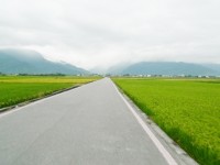 伯朗大道<br/> 摄影：Eva隨手拍
