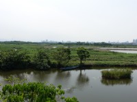 Photo:meiyin