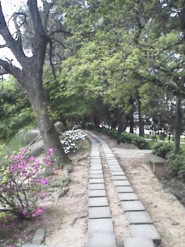 赏景步道 摄影：郭香妙