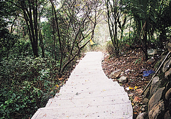 瓊仔湖登山步道-瓊仔湖登山步道