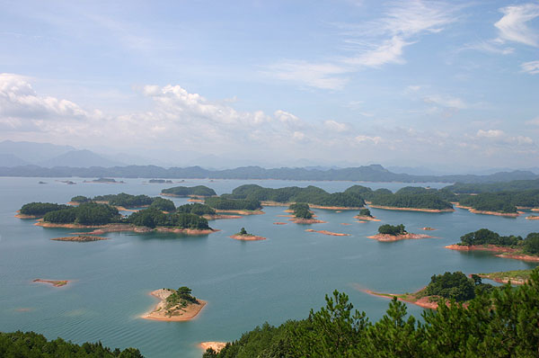 Photo:馮順