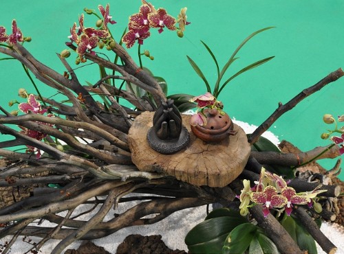 花博圓山公園區-爭艷館-花博爭艷館-競花藝術(特展與花卉競賽)