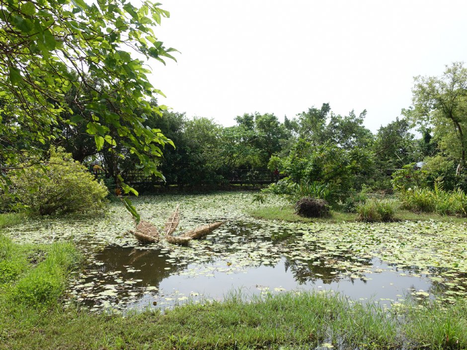 Photo:meiyin