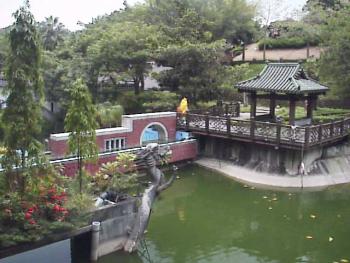池畔一景 摄影：郭香妙