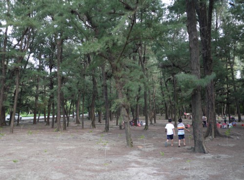 海濱秋茂園