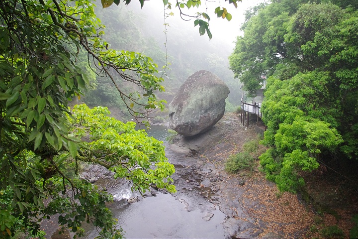 Photo:Eva隨手拍