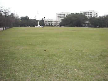 草坪 摄影：郭香妙