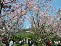 陽明山國家公園