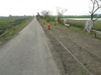 五分车自行车道<br/> 摄影：Eva隨手拍